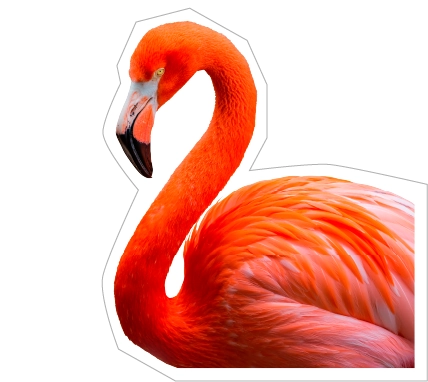 Estampa de un flamenco